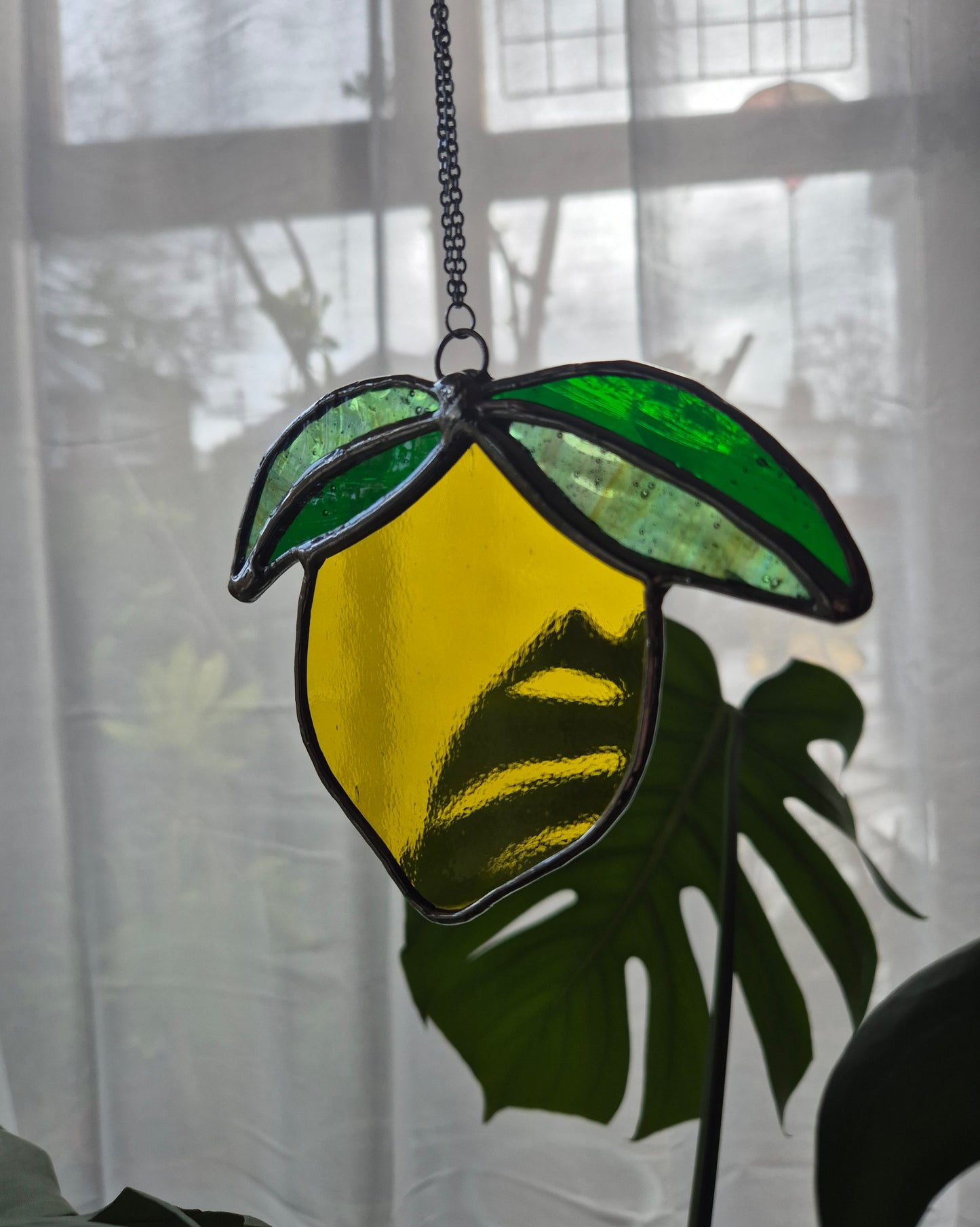 Single Hanging Lemon