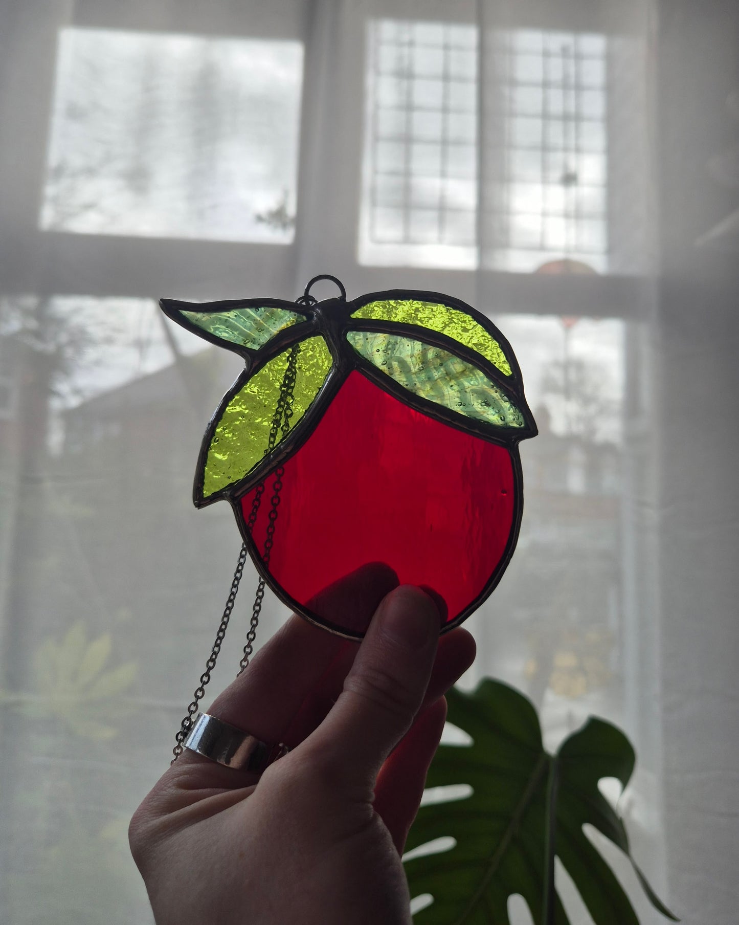 Single Hanging Tomato