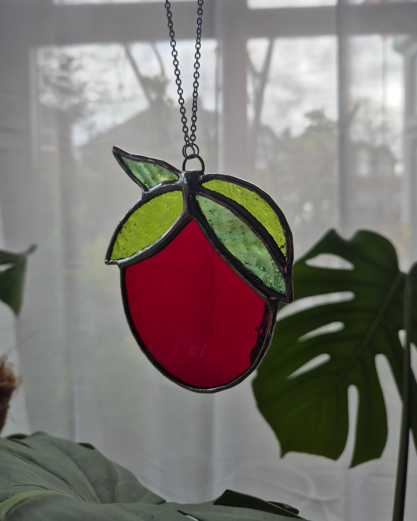 Single Hanging Tomato