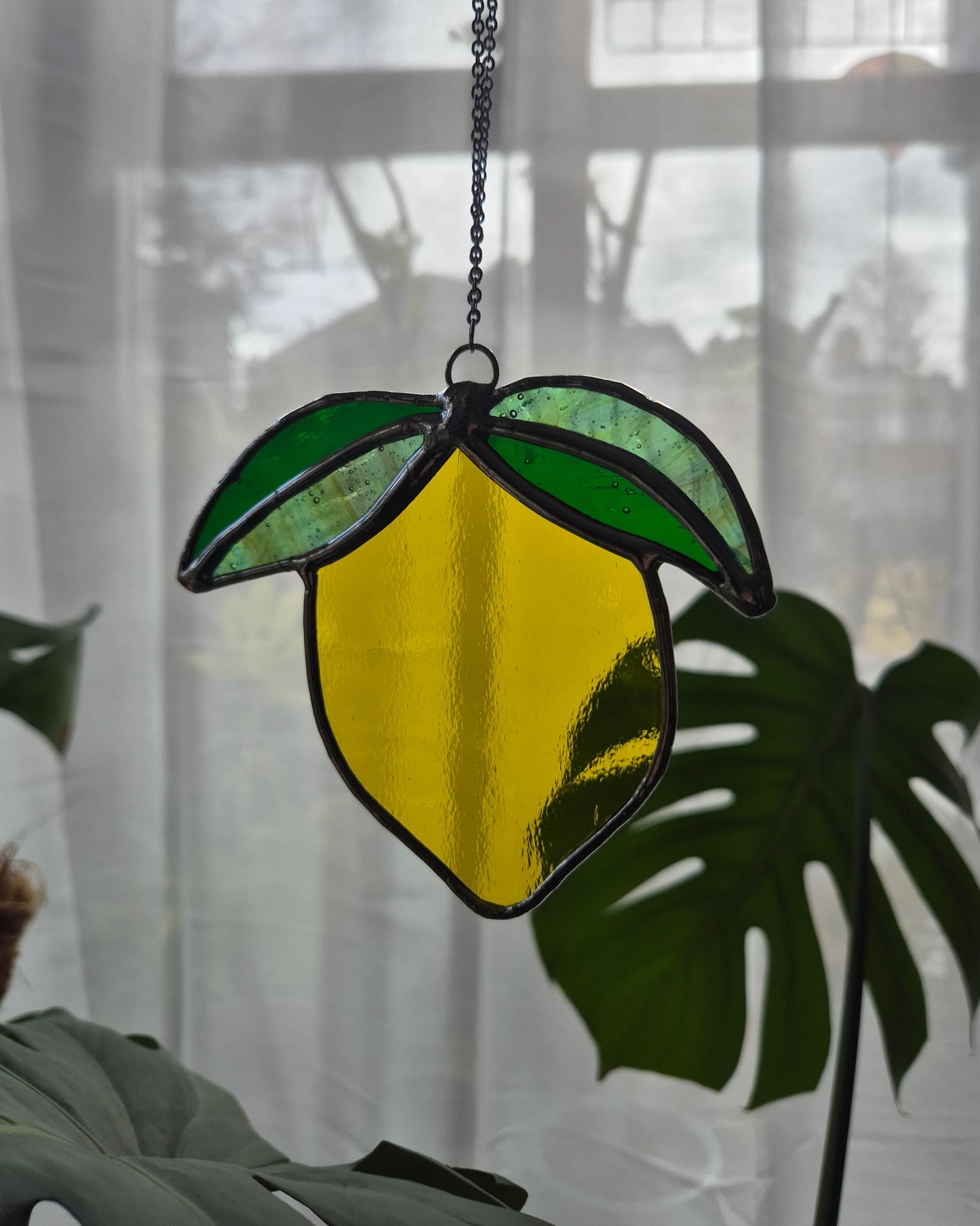 Single Hanging Lemon