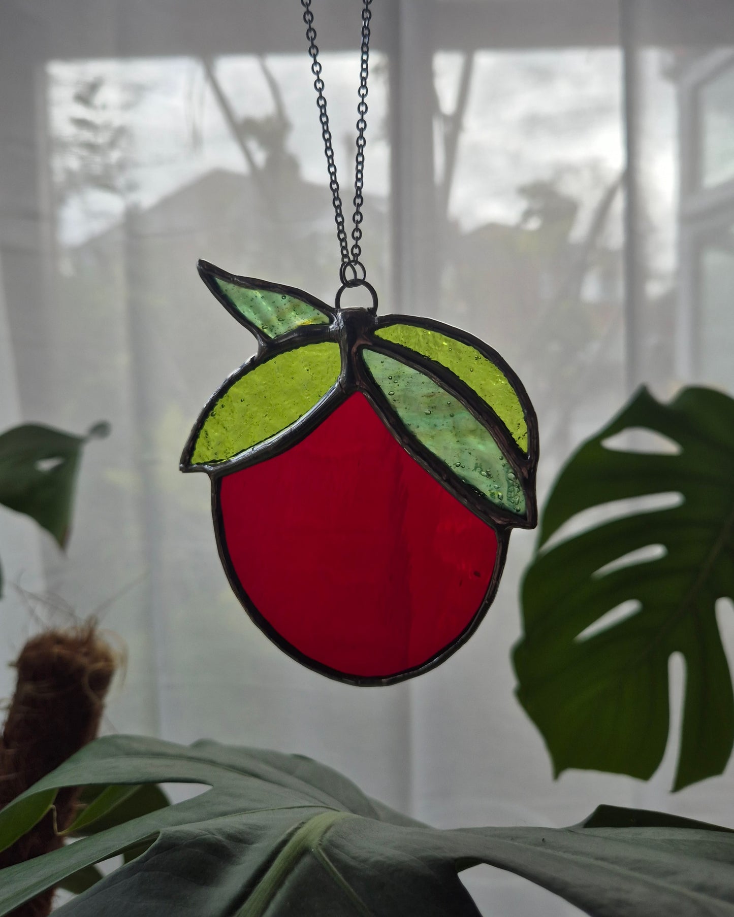 Single Hanging Tomato