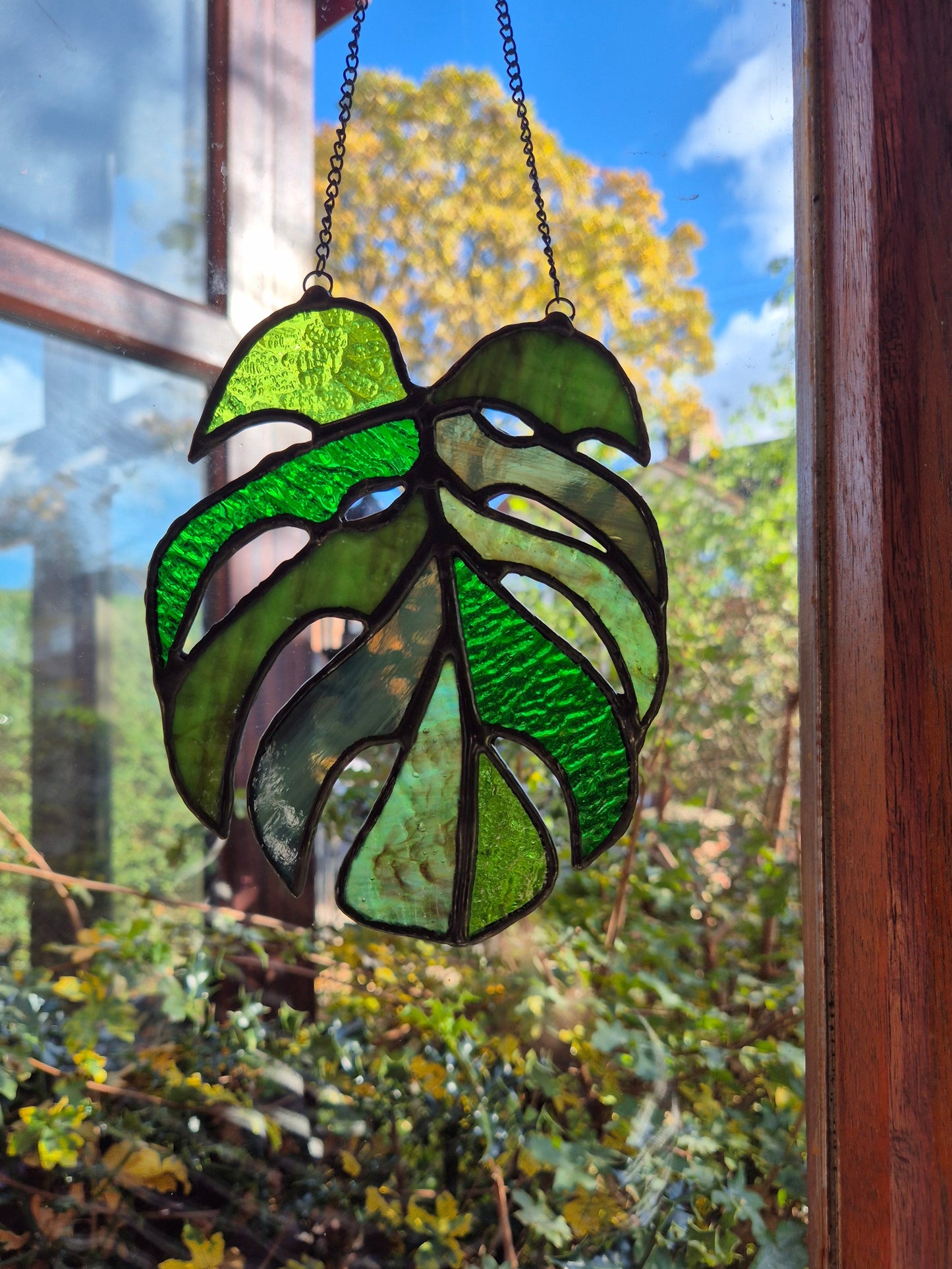 Monstera Leaf Hanging