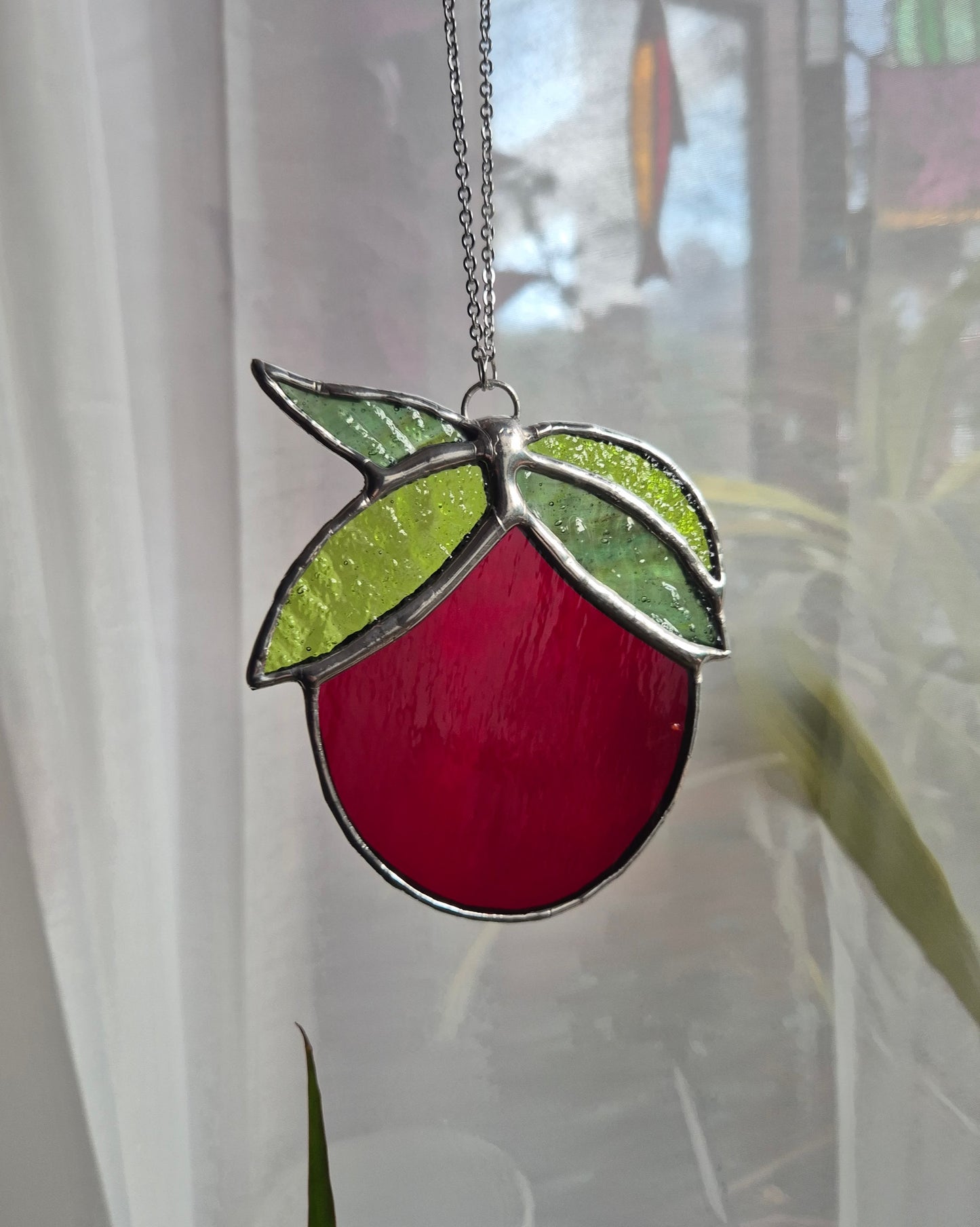 Single Hanging Tomato