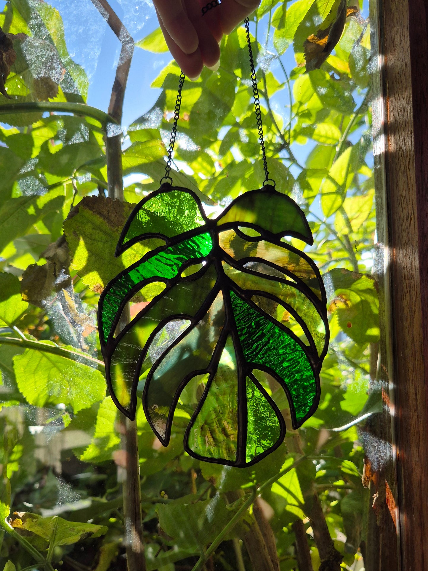 Monstera Leaf Hanging