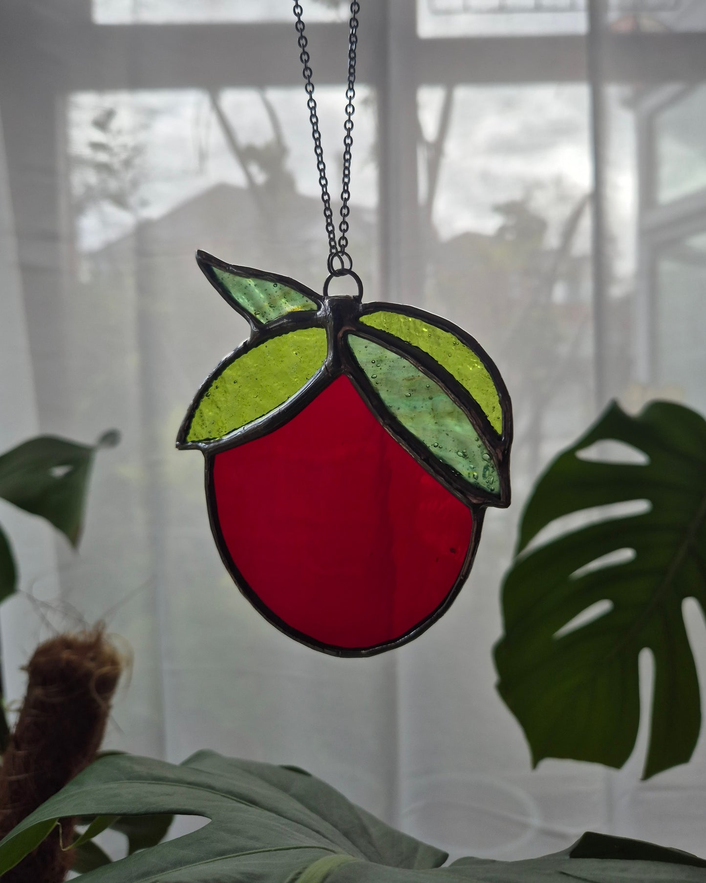 Single Hanging Tomato