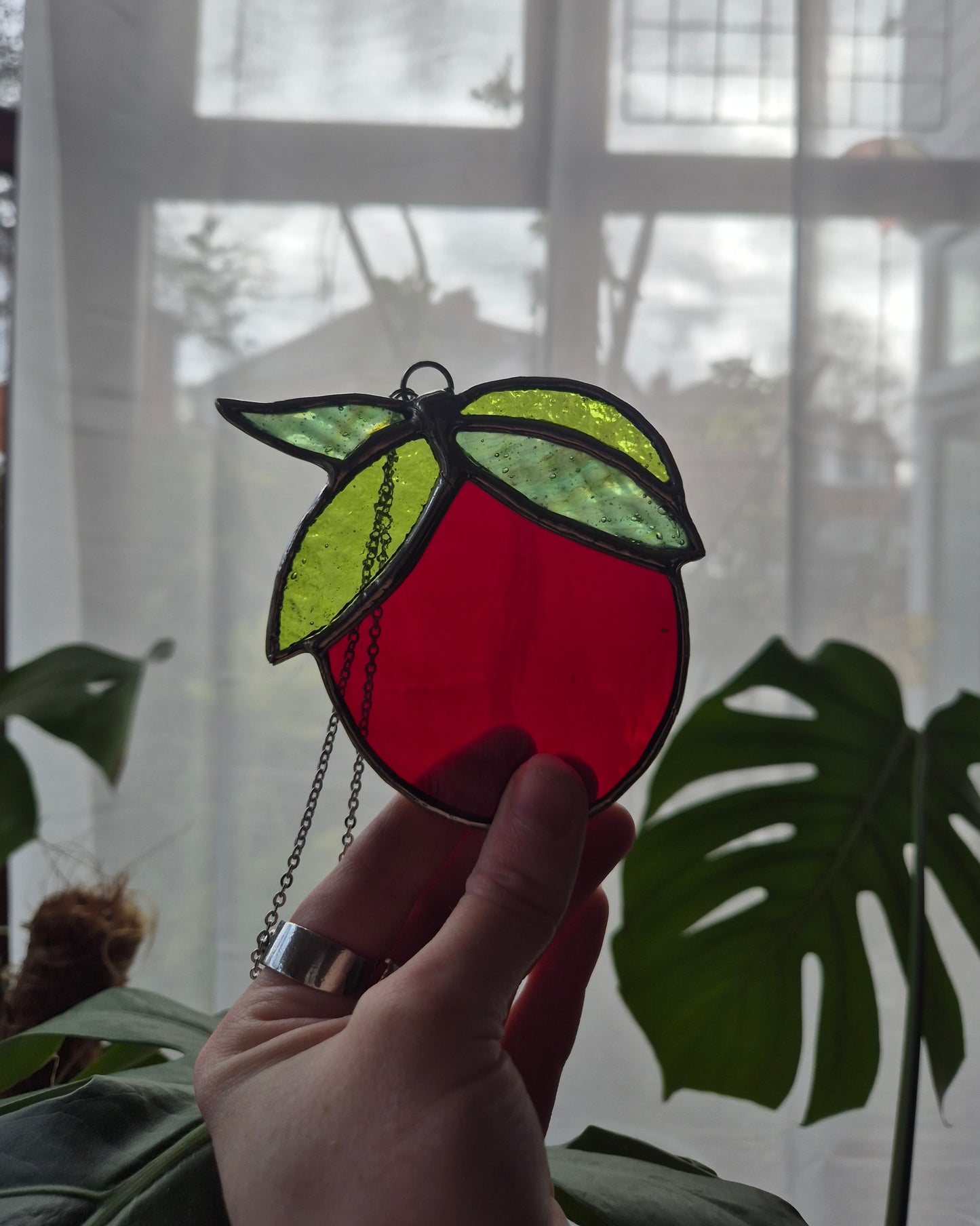 Single Hanging Tomato