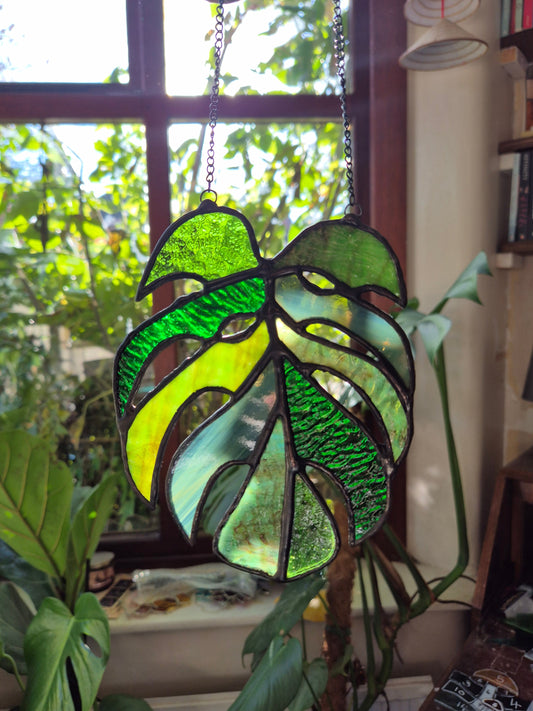 Monstera Leaf Hanging