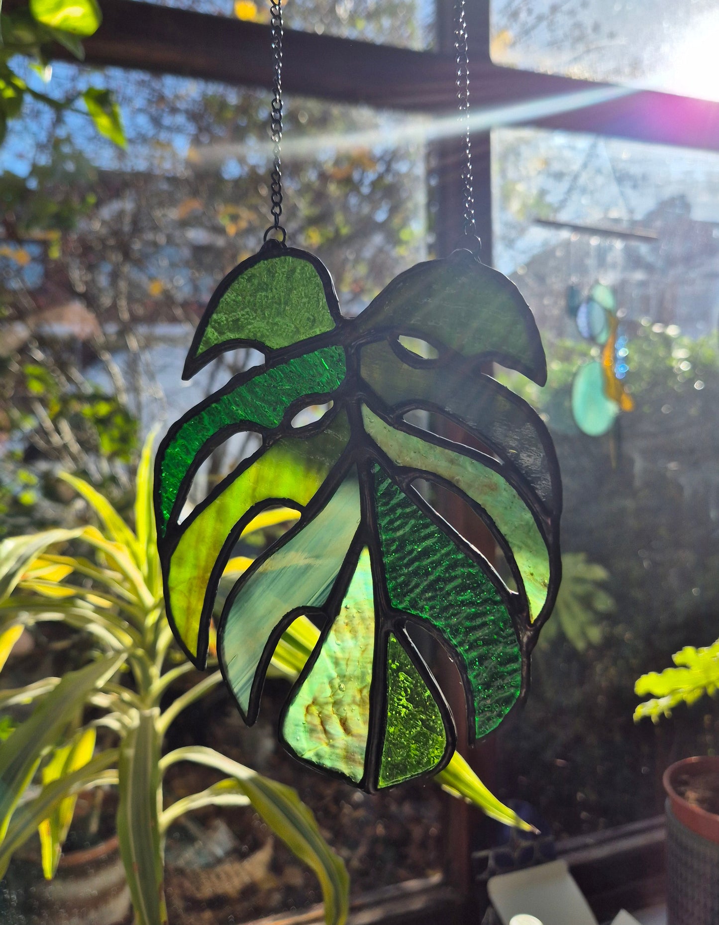 Monstera Leaf Hanging