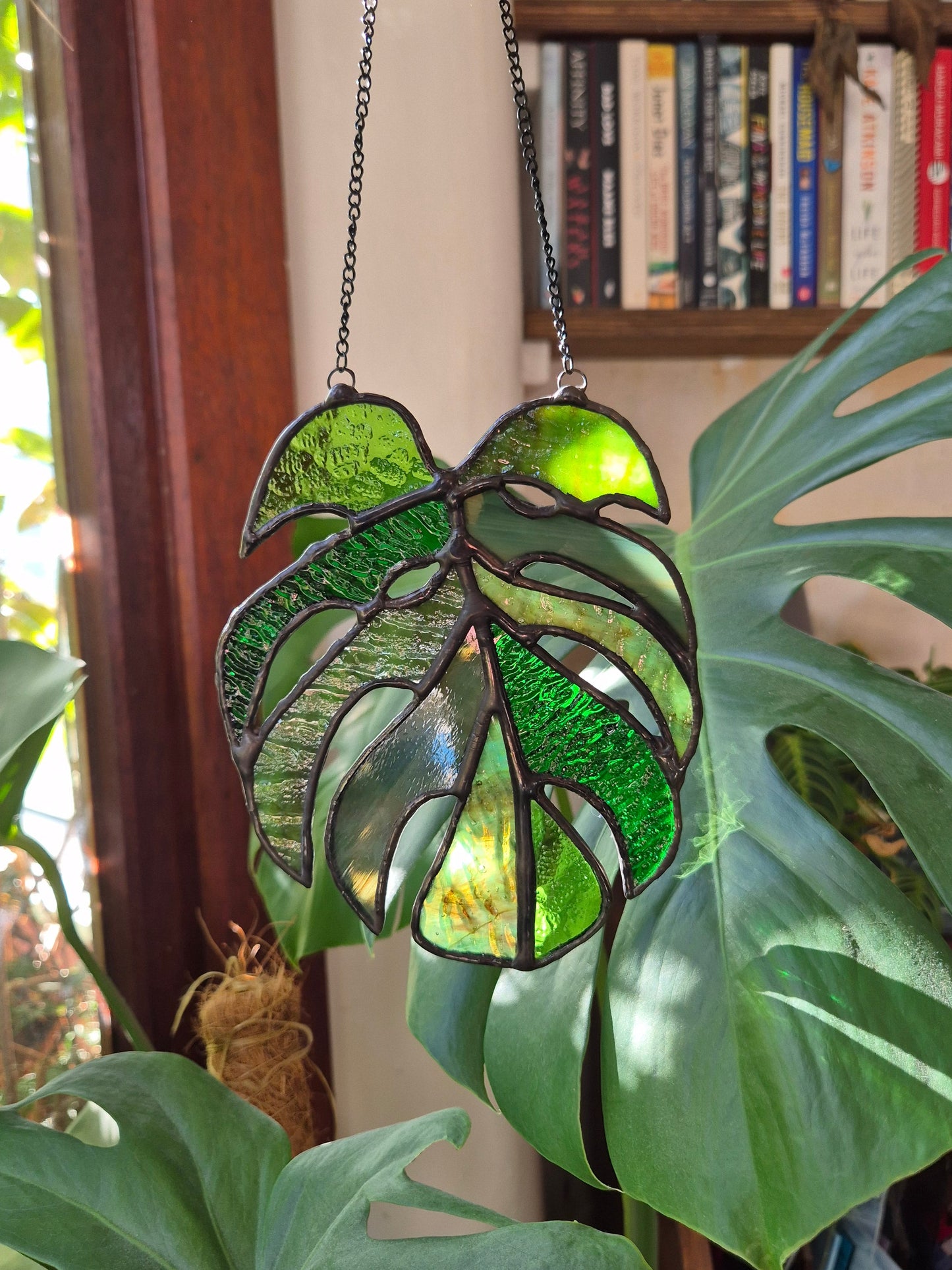 Monstera Leaf Hanging