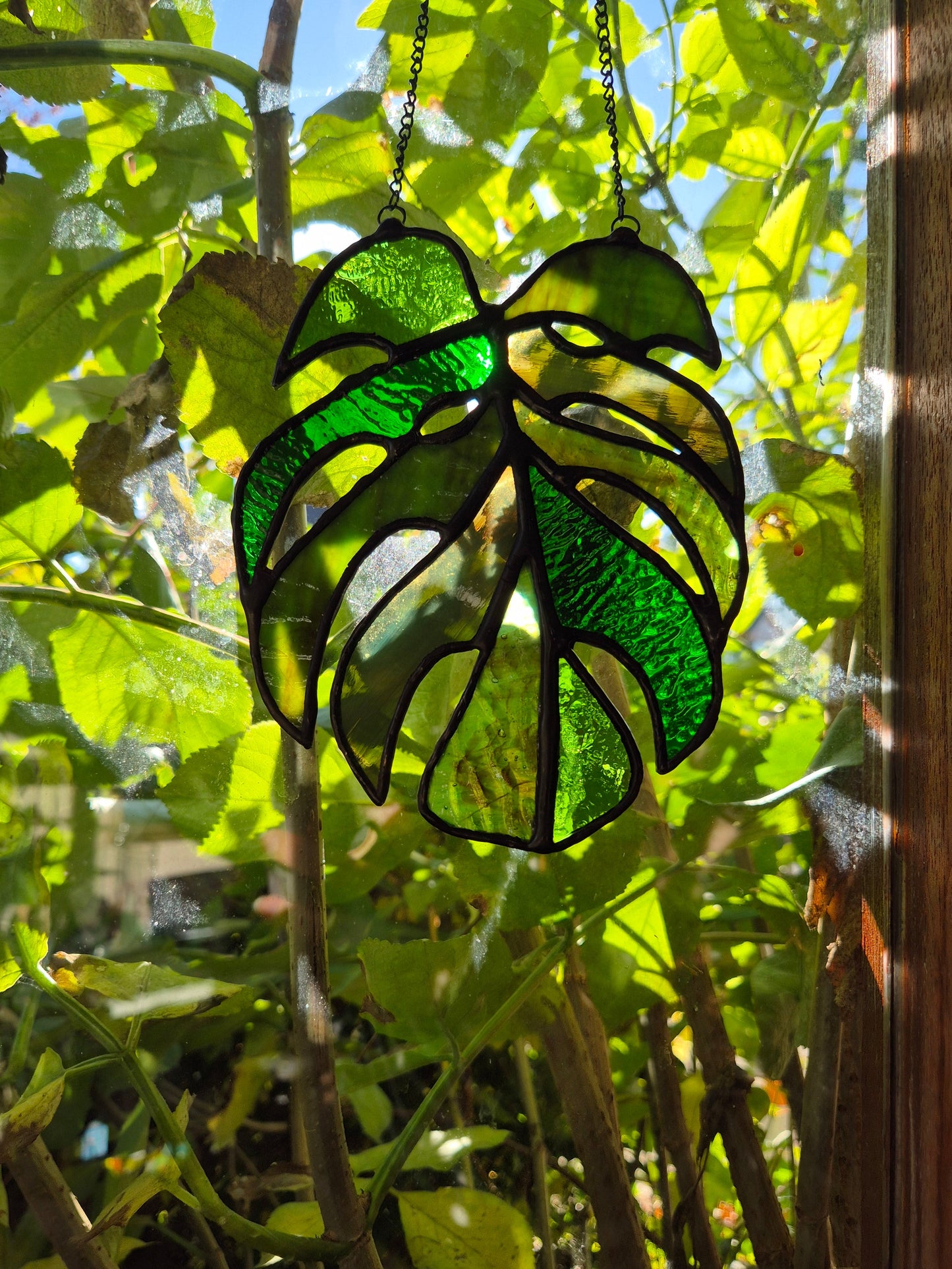 Monstera Leaf Hanging