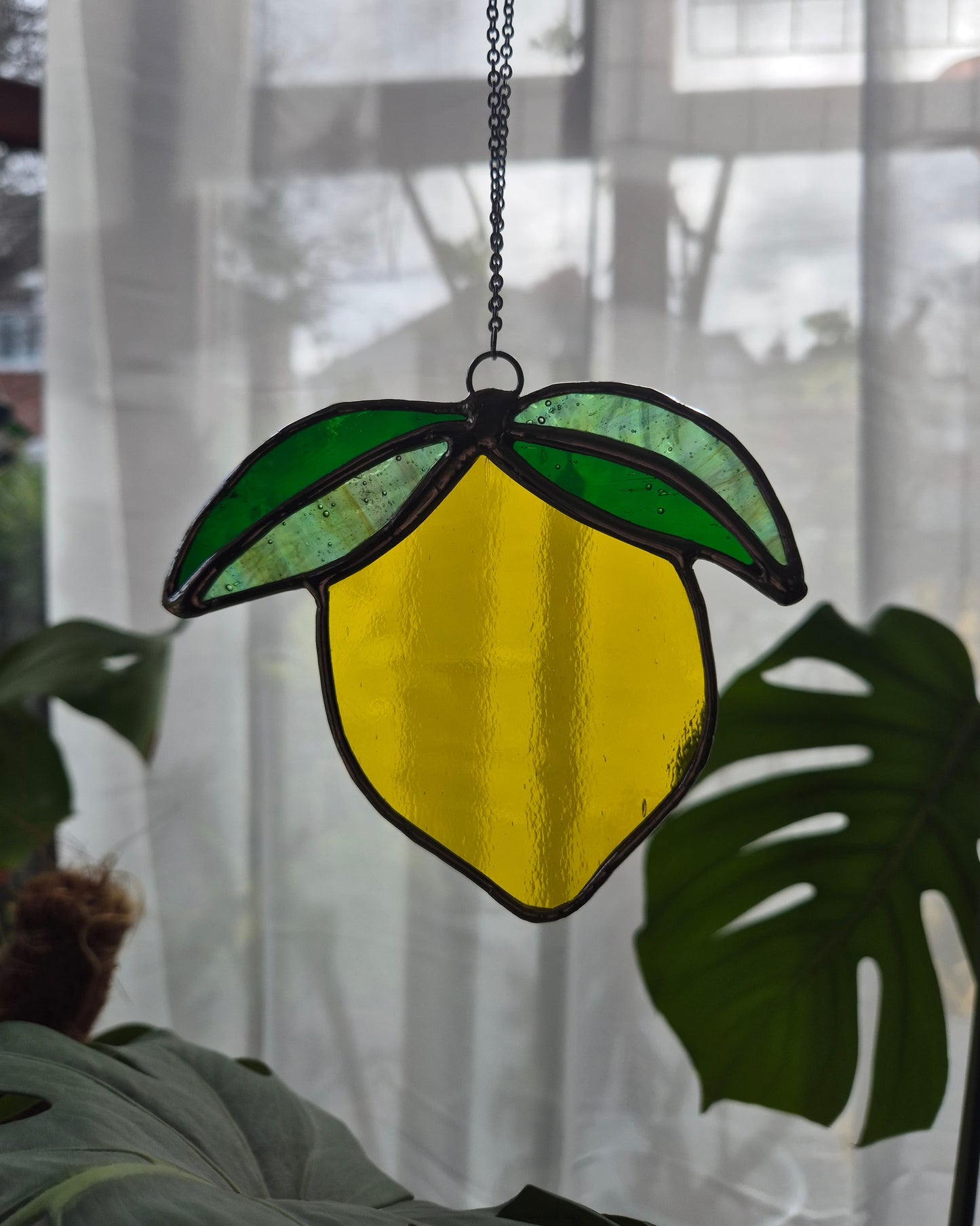 Single Hanging Lemon
