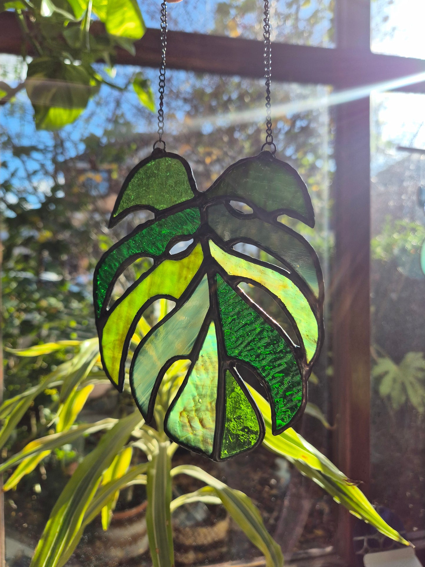 Monstera Leaf Hanging