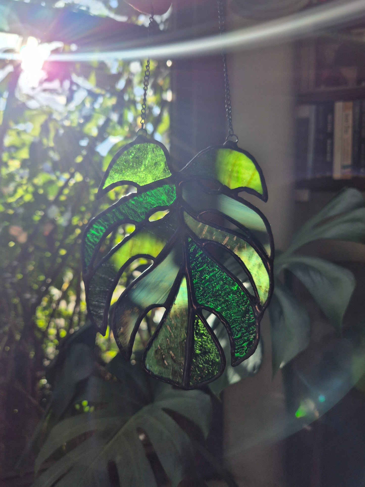 Monstera Leaf Hanging